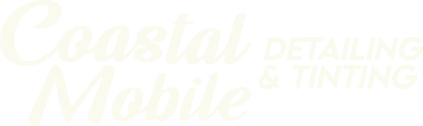 Coastal Mobile Detailing & Tint